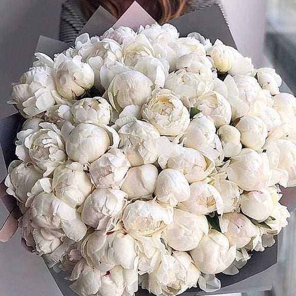 peonia bianchi genova consegna product_type