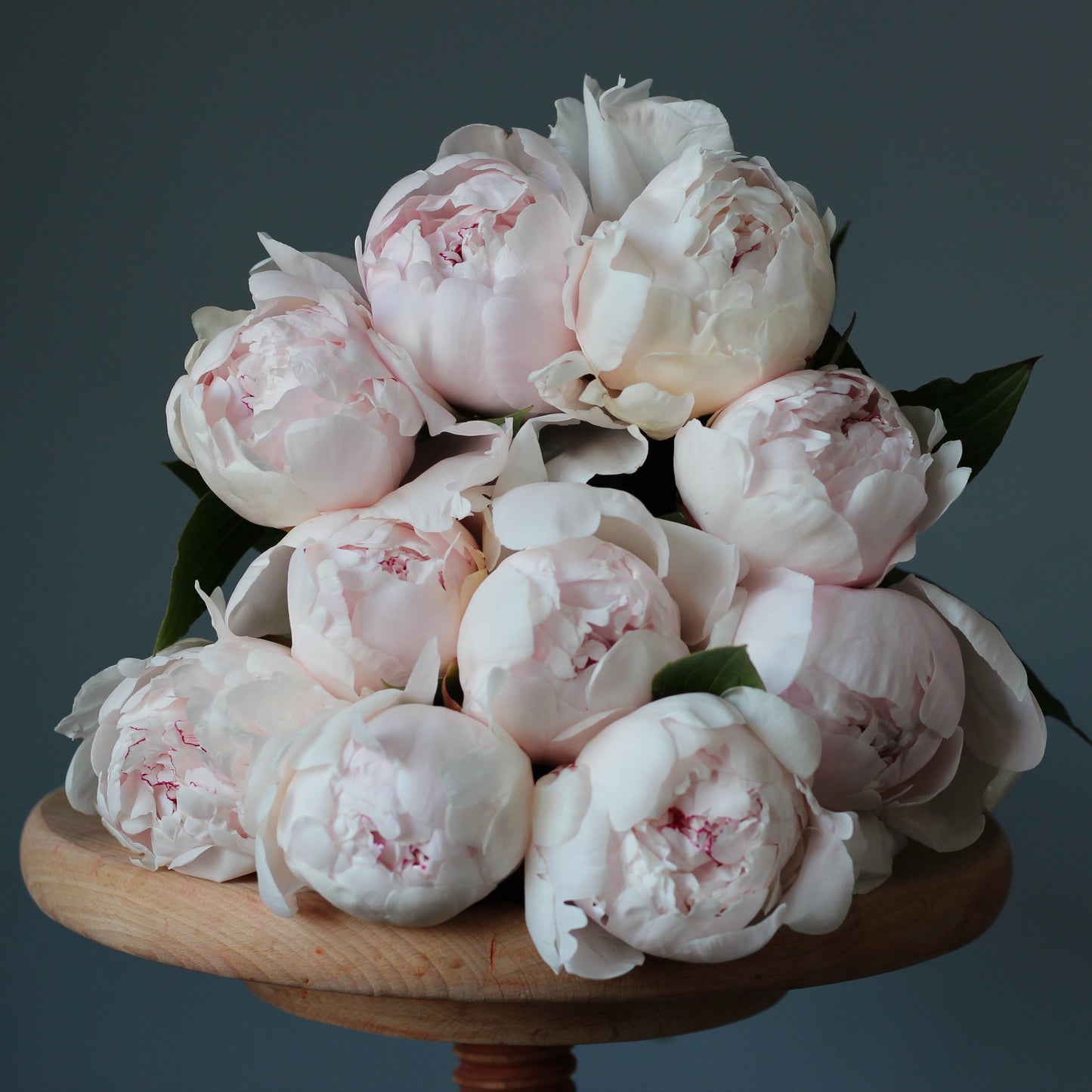 peonies delivery in Genoa liguria portofino