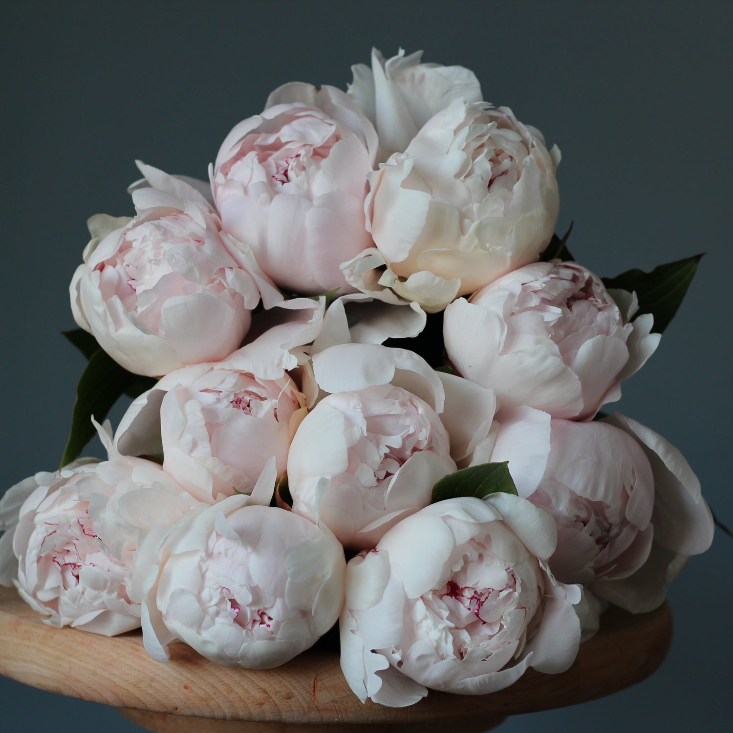 yacht flowers Genoa liguria French Riviera