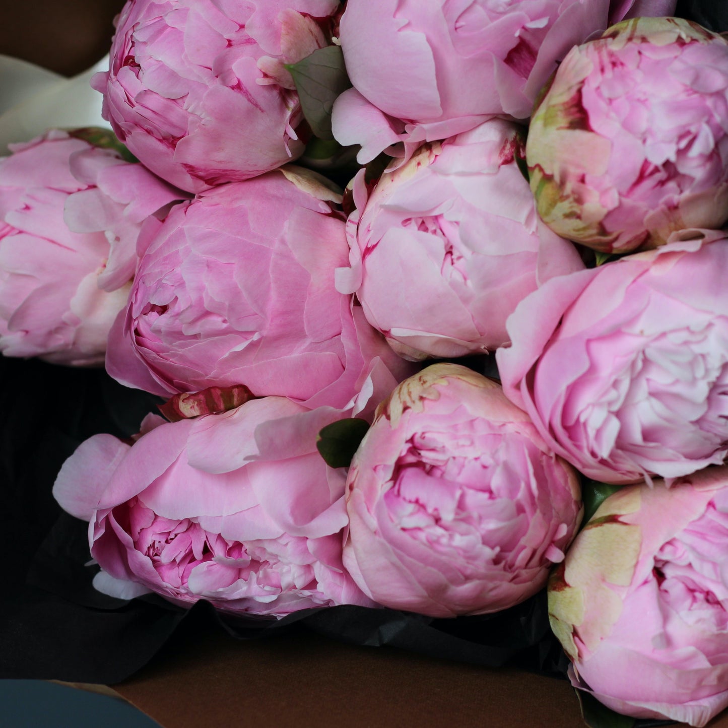 send flowers Genoa bouquet of Peonies