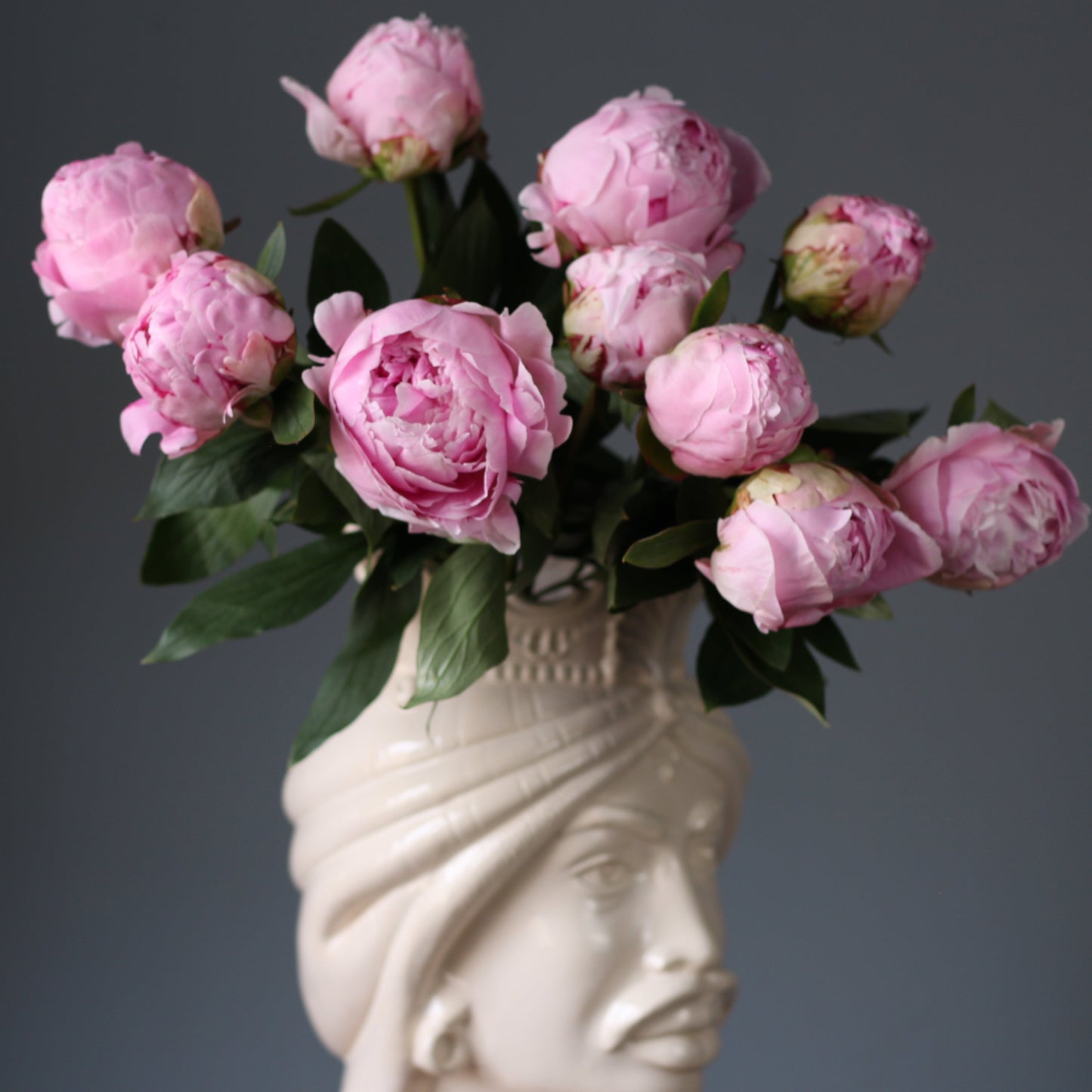 peonies Sarah Bernhardt in Genoa delivery