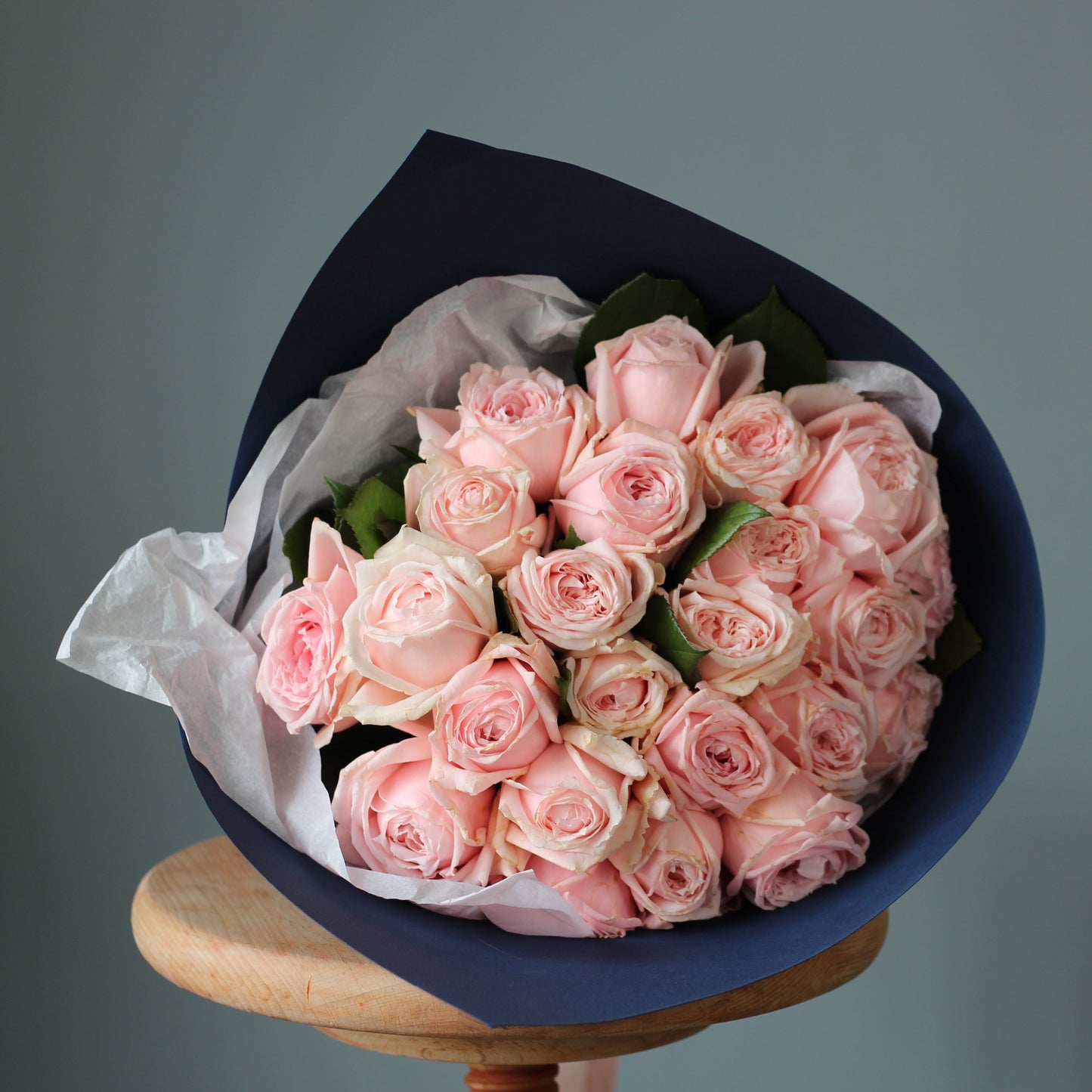 pink roses princess hitomi genova