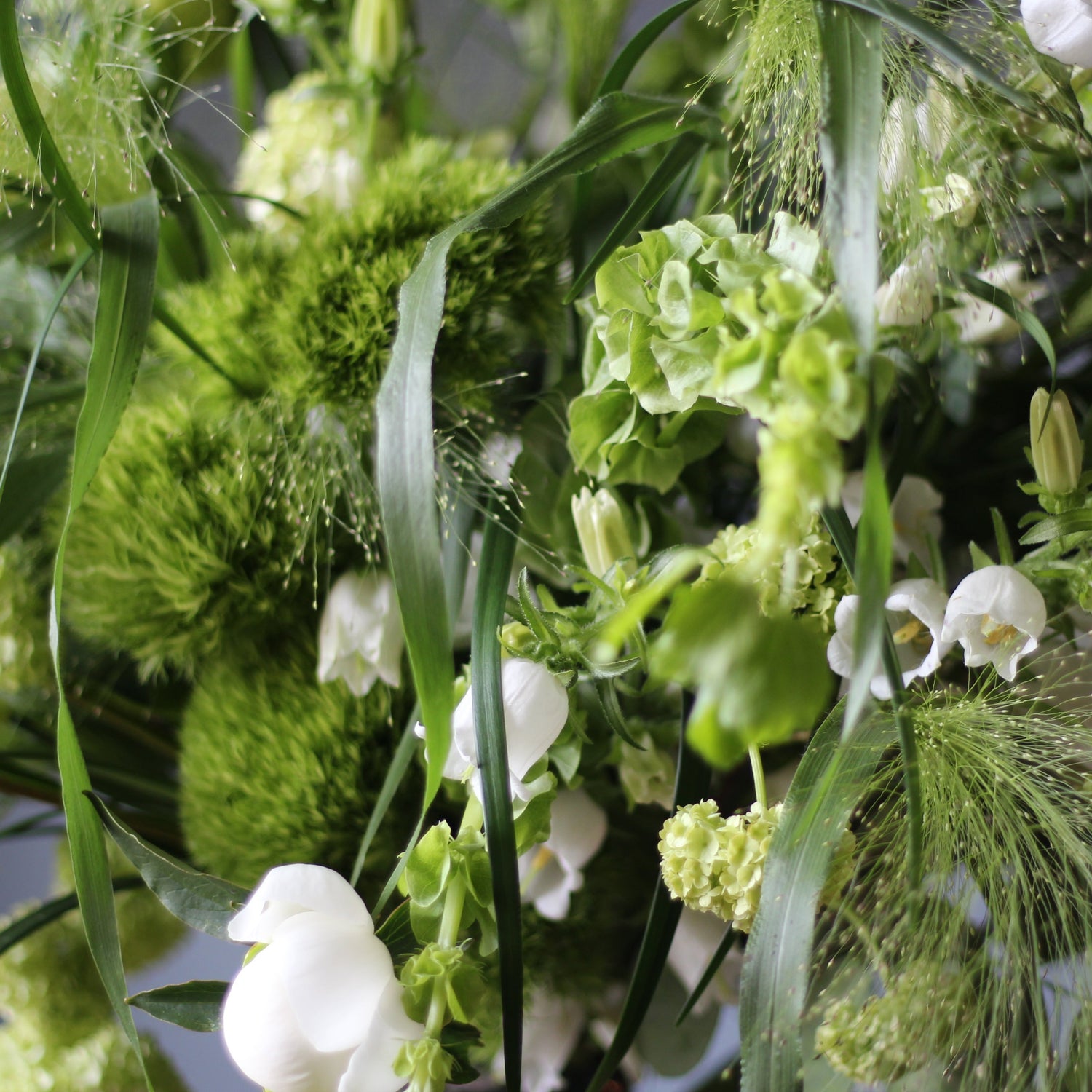 green bouquet delivery  in Genoa