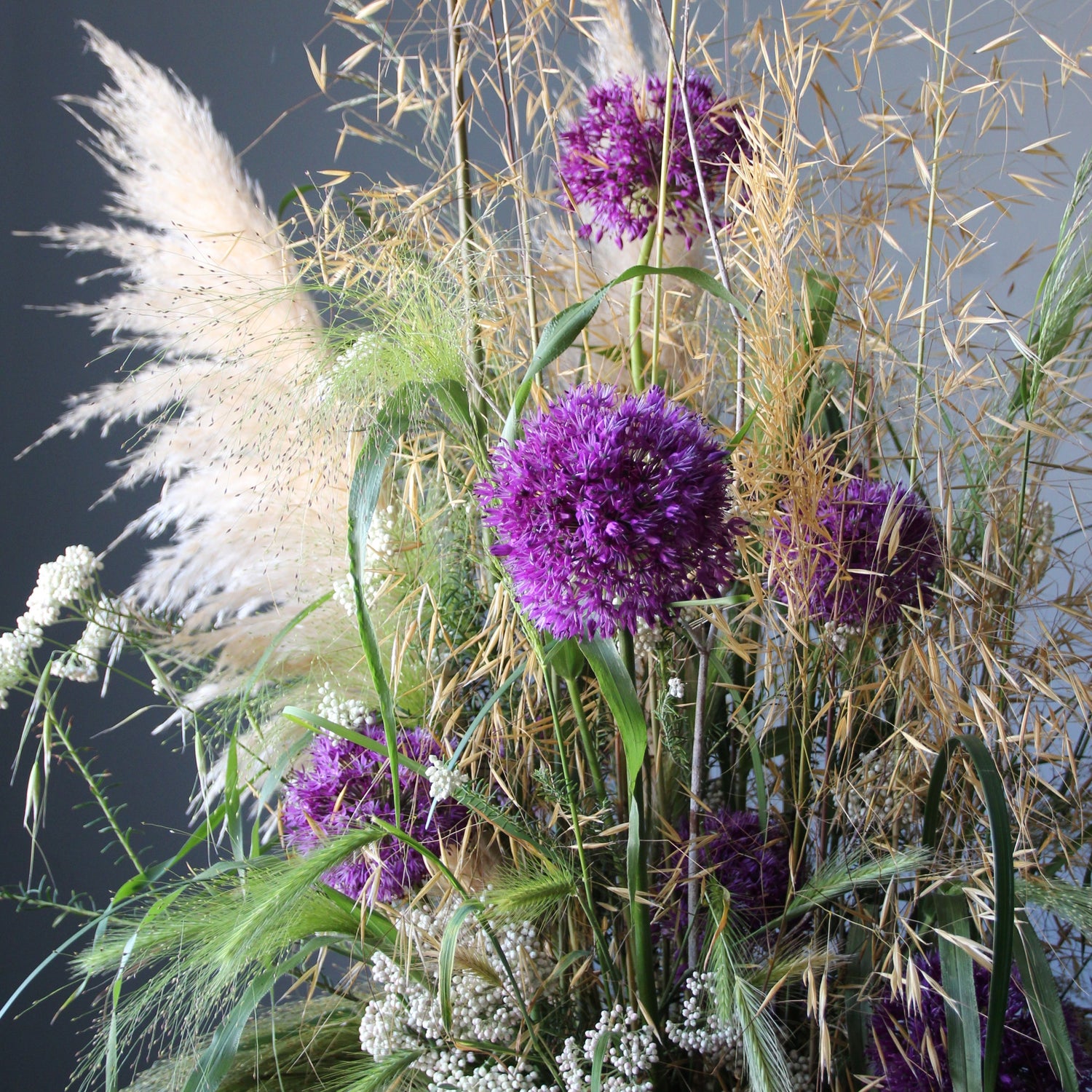Alium flower interior composition