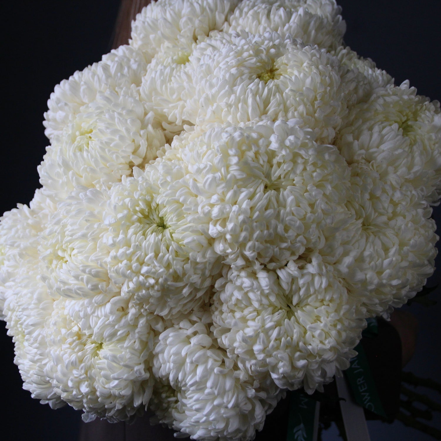 fiori bianchi genova consegna