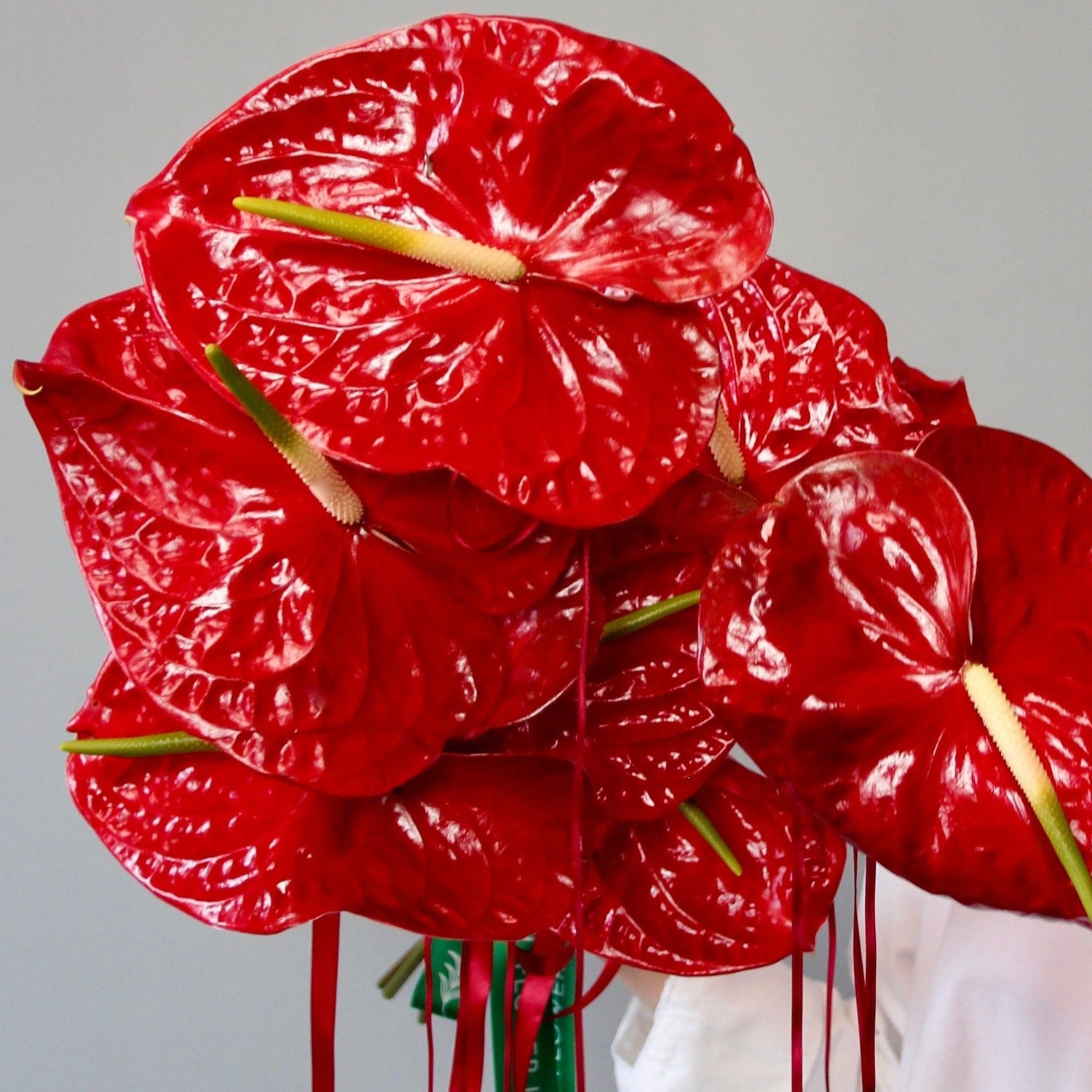 red bouquet of flowers genova