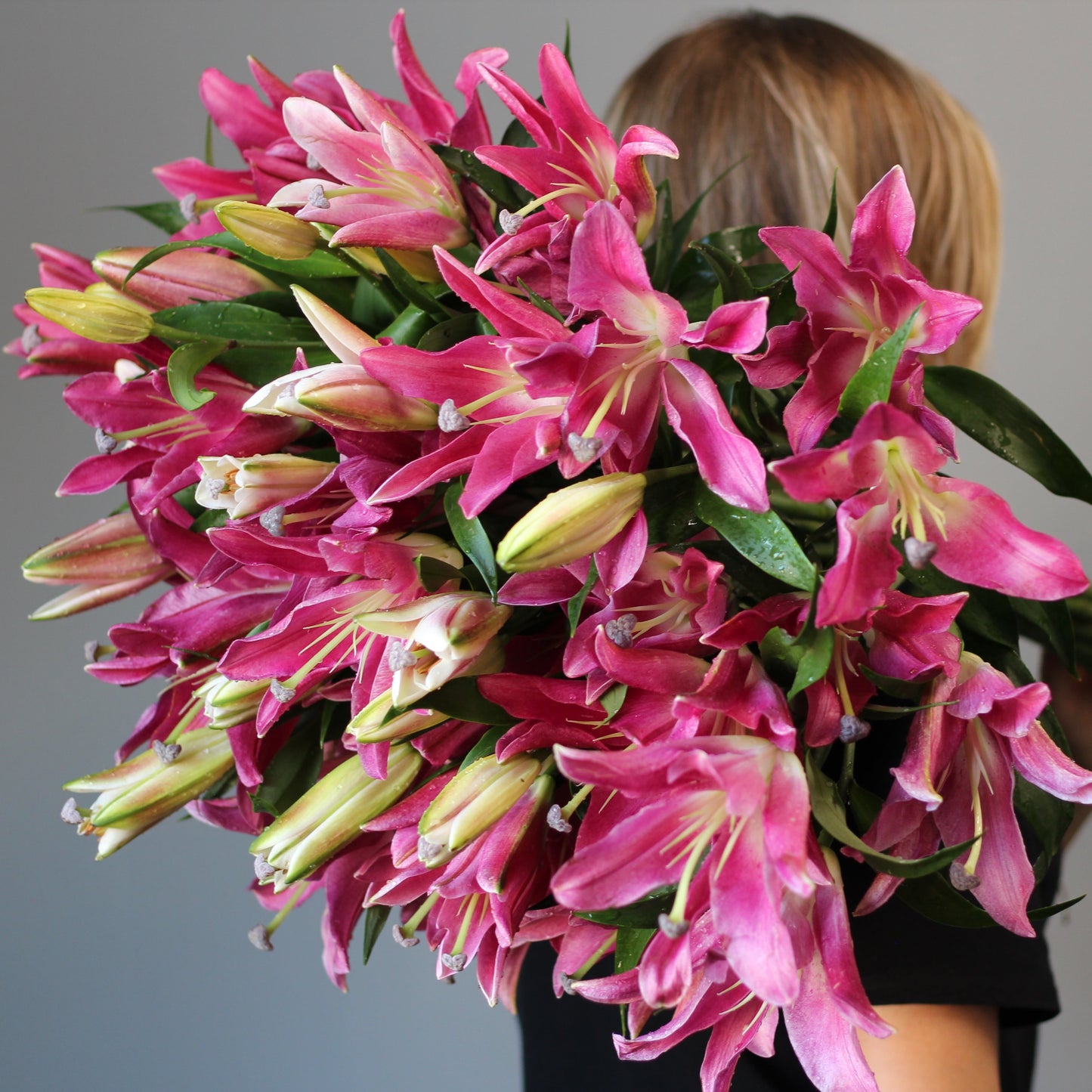 Pink lilia flowers product_type