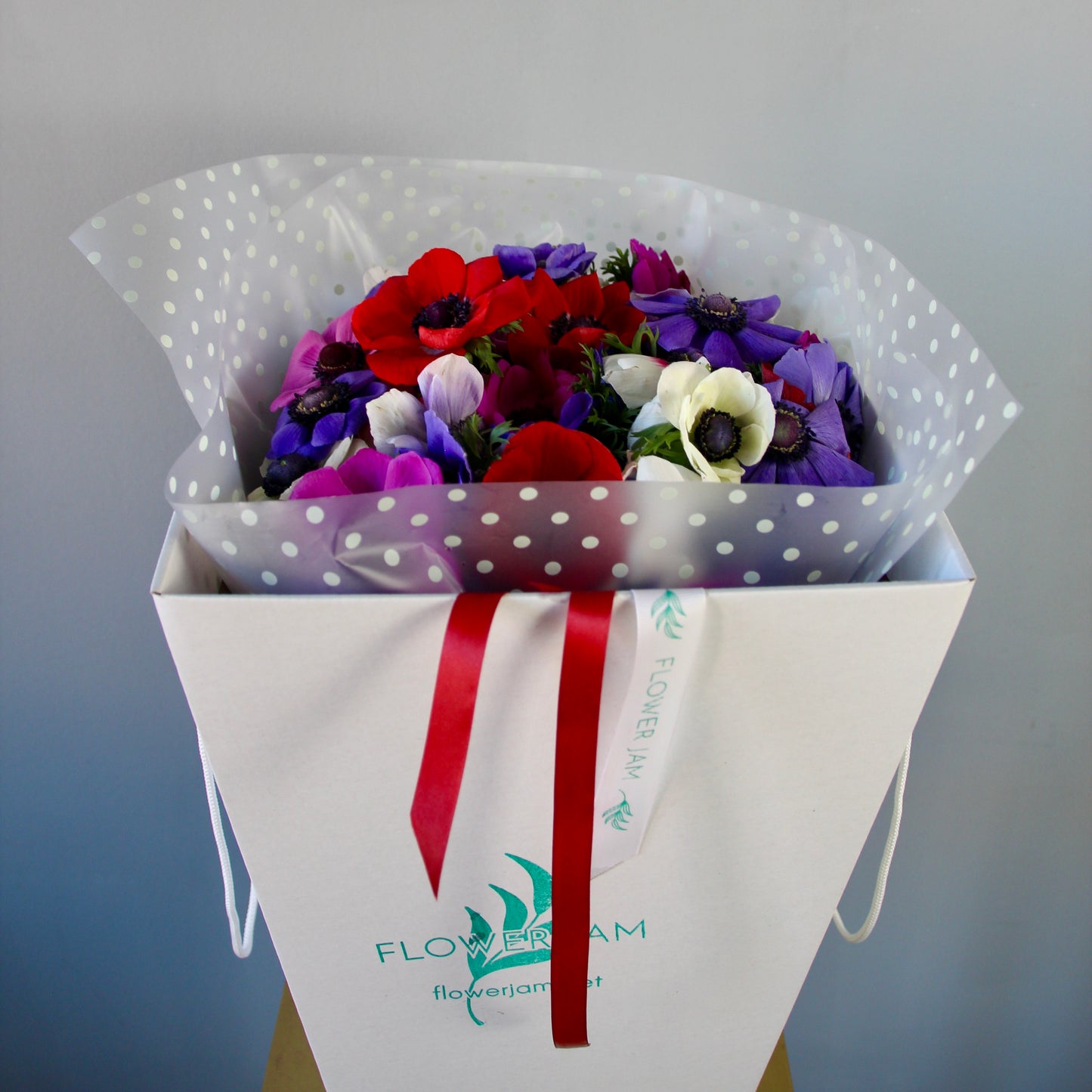 Anemone Mix