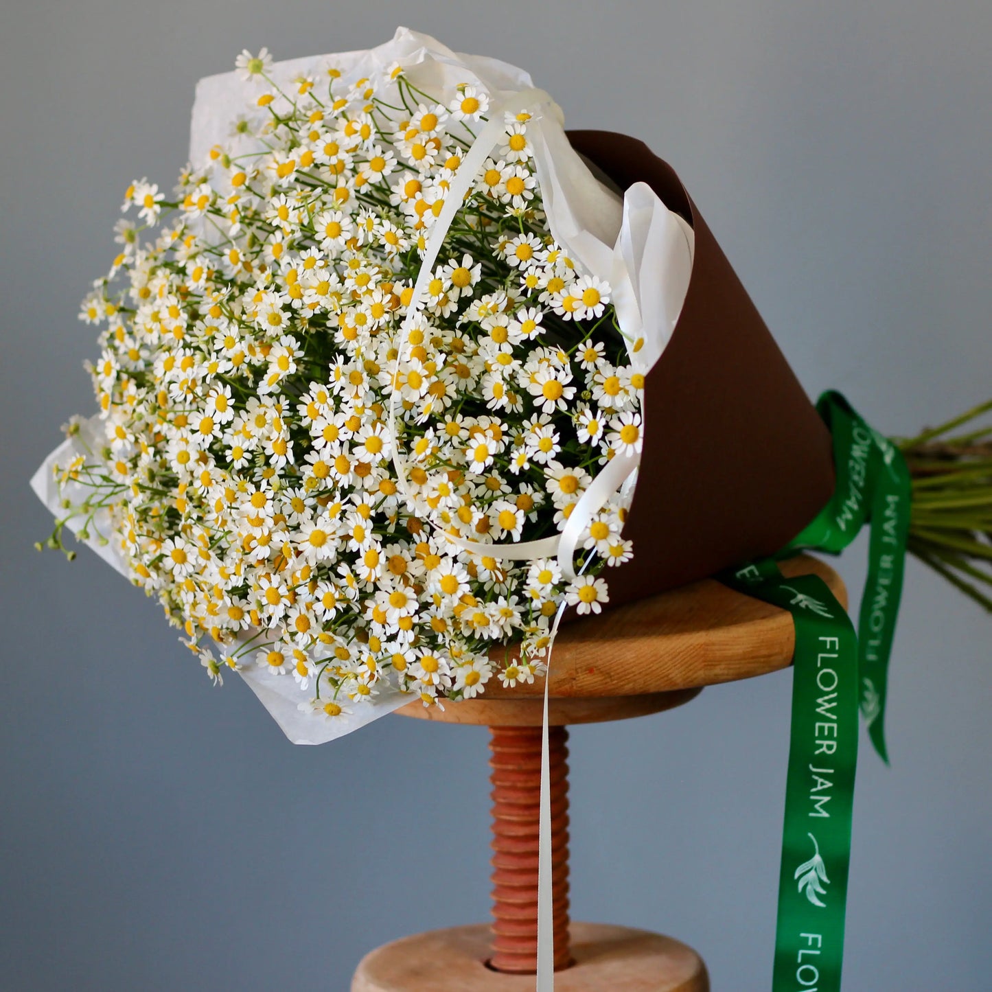 bouquet of camomile
