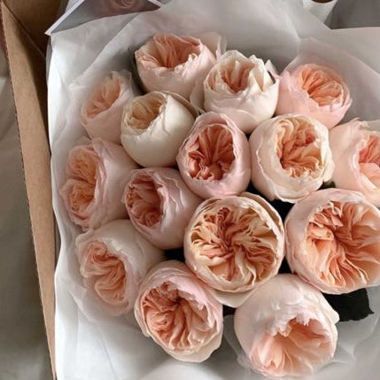 vip roses delivery in genoa