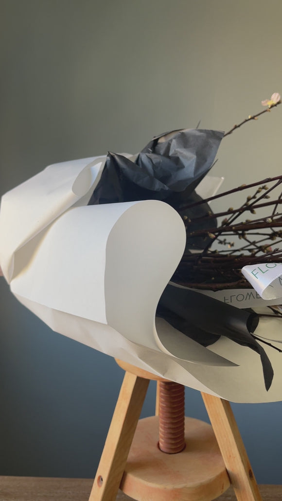 Peach Branches - video preview image