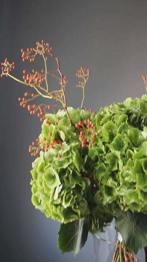 Green Smoothie - video preview image