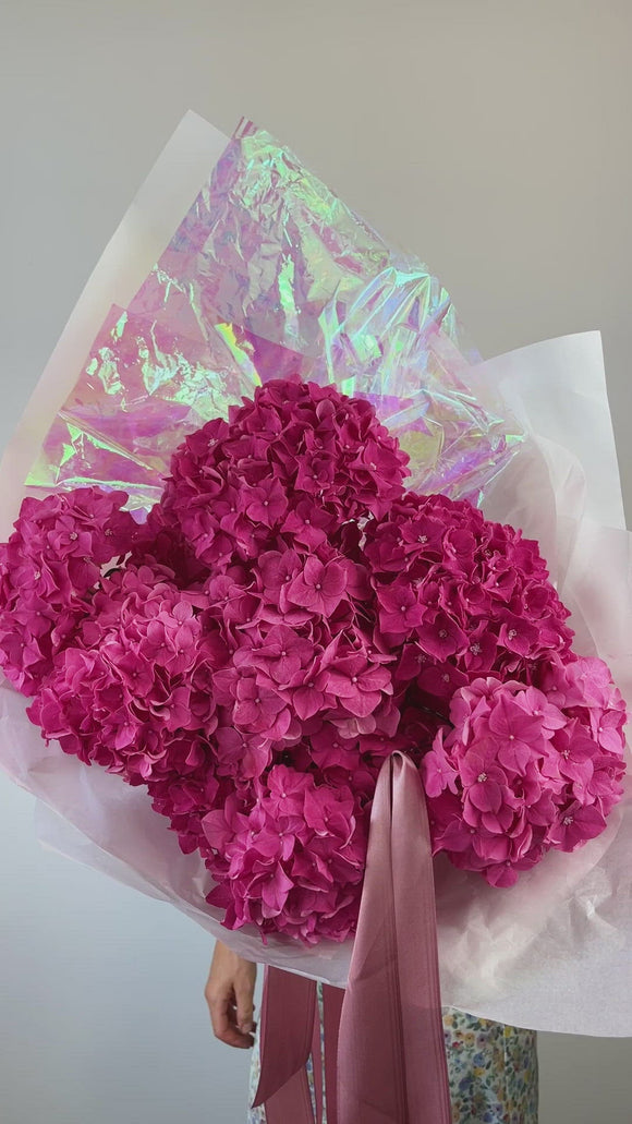 Bunch of Pink Hydrangeas - video preview image