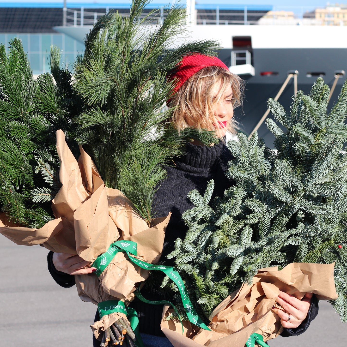 bunch of christmas tree