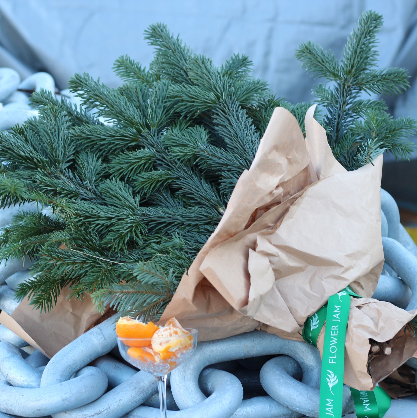 delivery christmas tree in Genoa