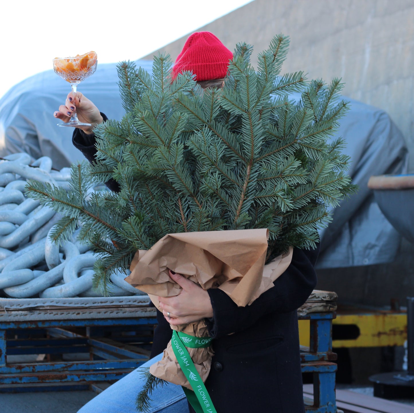 how much cost christmas tree in Genoa christmas tree