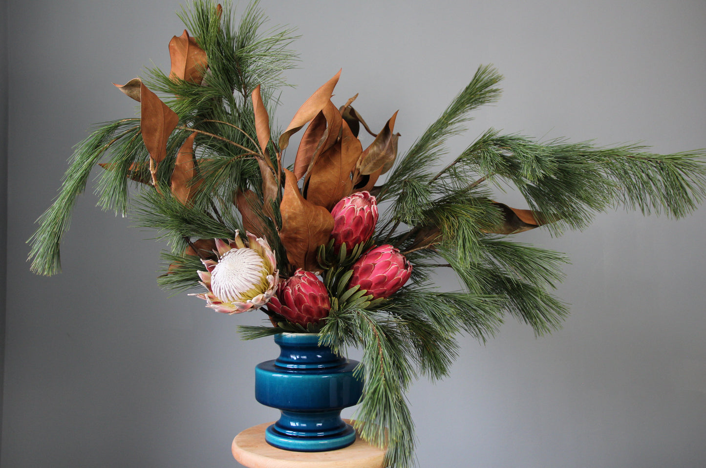 protea red interior flowers