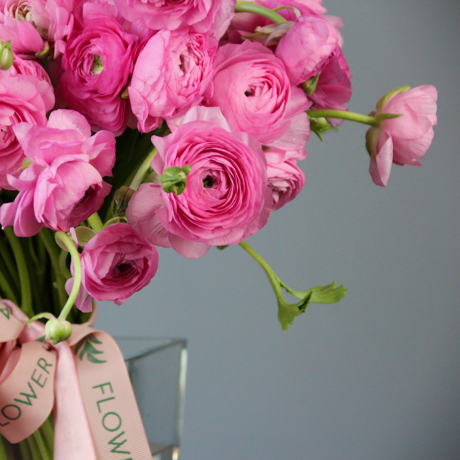 Genova flower shop