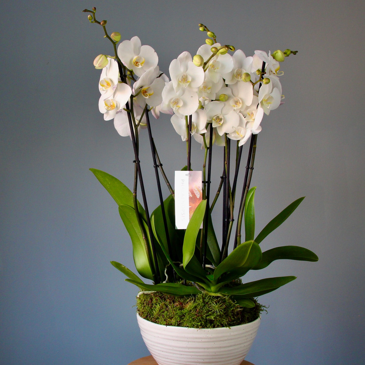 wedding florist Liguria