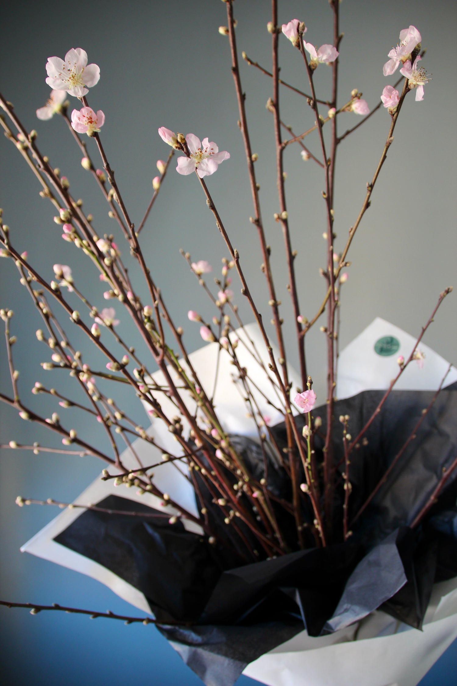 Peach Branches