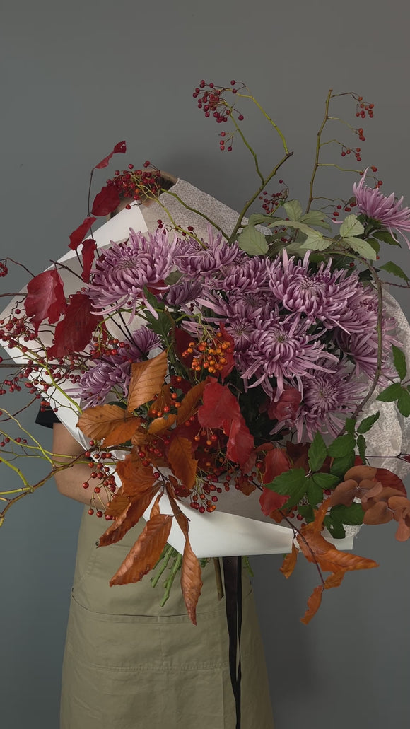 Red Sky - video preview image