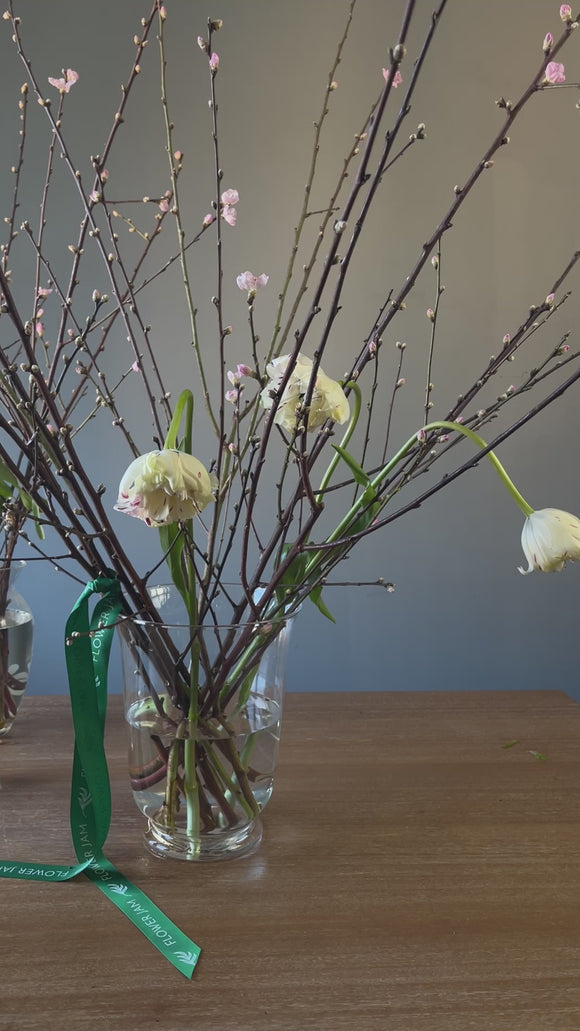 Peach Branches - video preview image