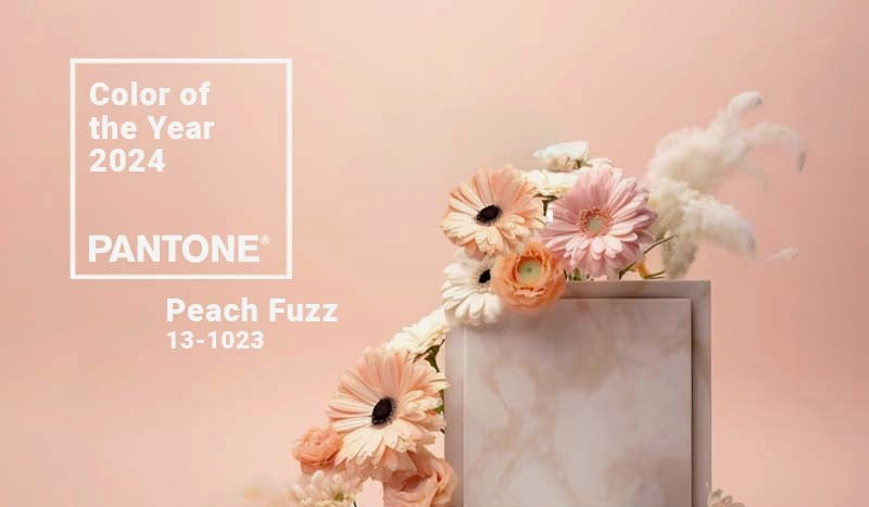 Peach Fuzz: Pantone Color of the Year 2024 flowers store
