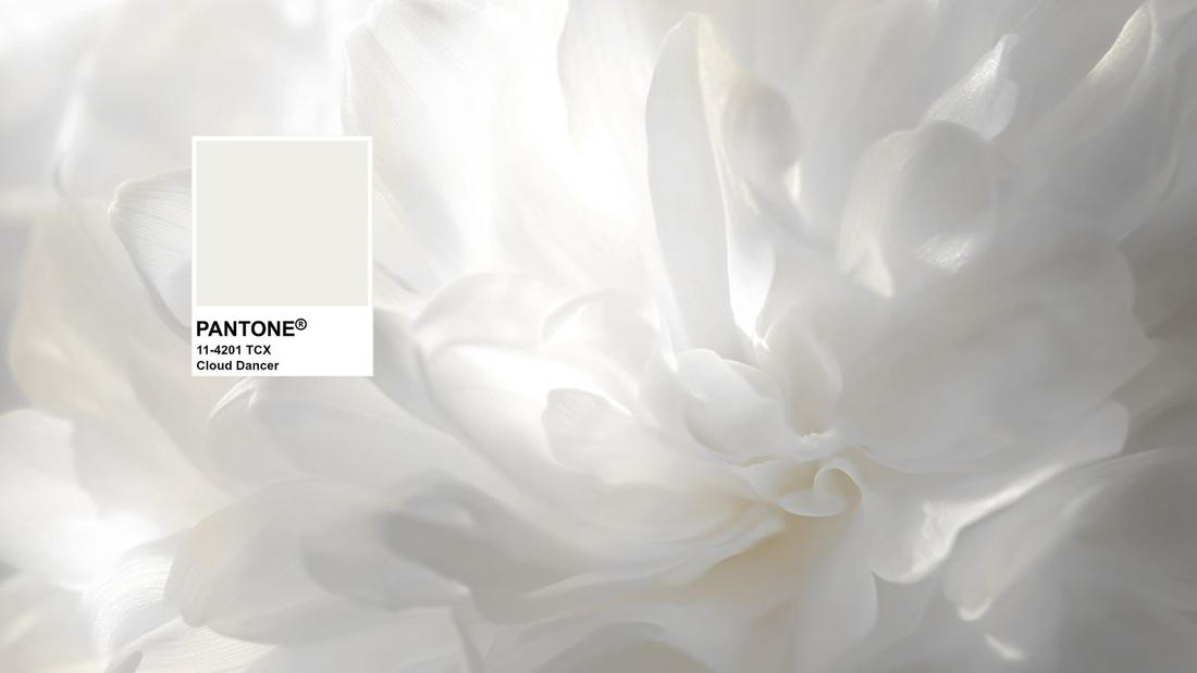 Cloud dancer: Pantone color of the year 2026