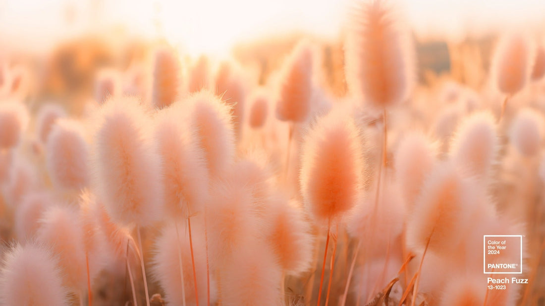 Peach Fuzz: Pantone Color of the Year 2024