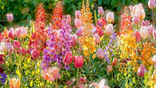 FLOWERS OF JULY