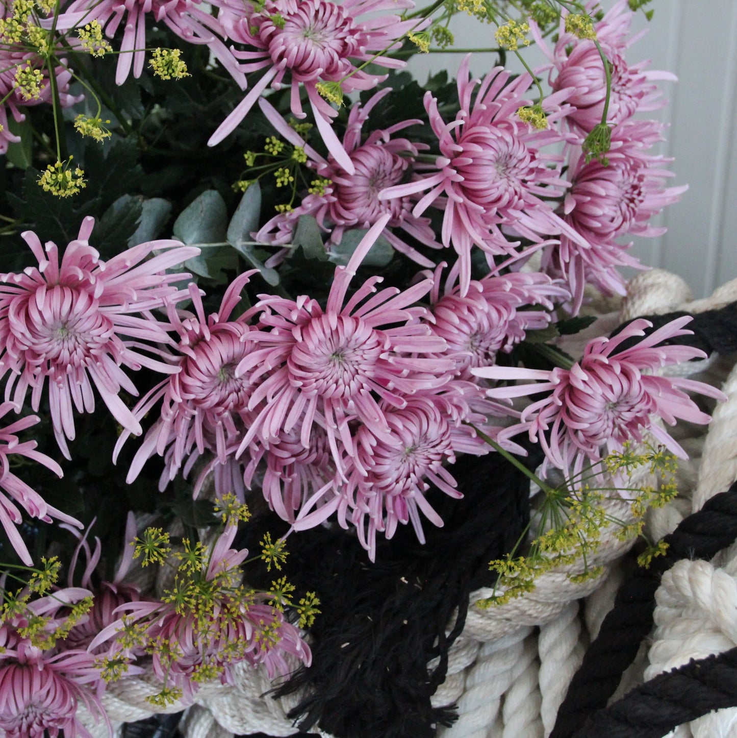 bouquet of pink Chrysanthemum in Genova