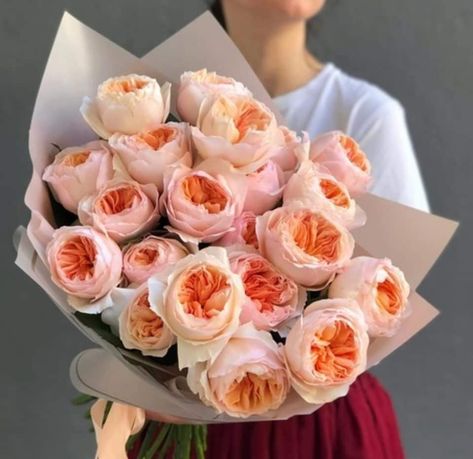 garden roses delivery genoa Flowers