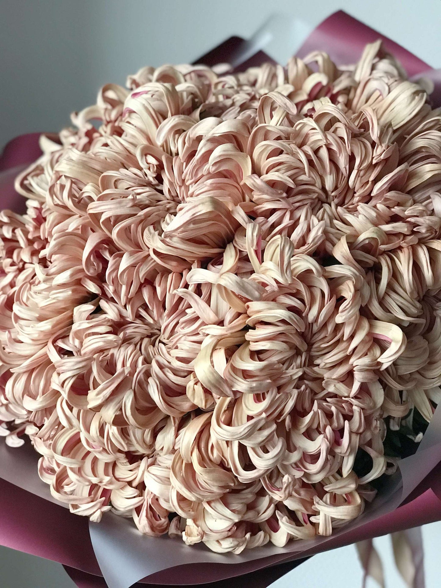 Flower shop genova  Flowers