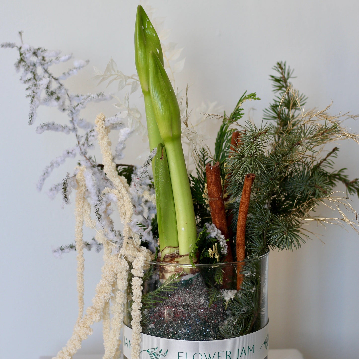 Amaryllis cennamon pinetree arrangement
 product_type