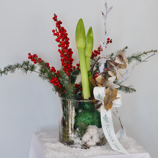 amaryllis christmas composition