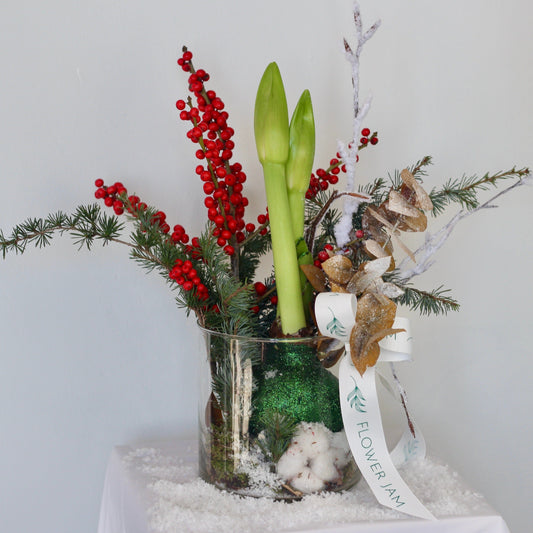 amaryllis christmas composition product_type