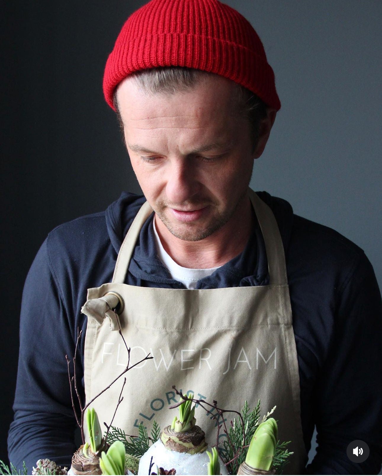 composizione di natale genova consegna Christmas Composition