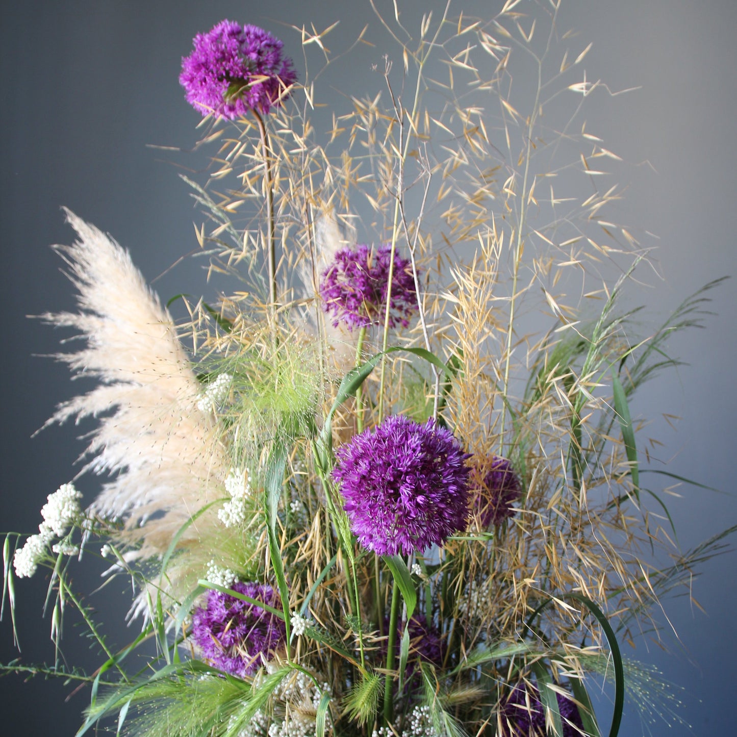 alium viola flower Flower Composition