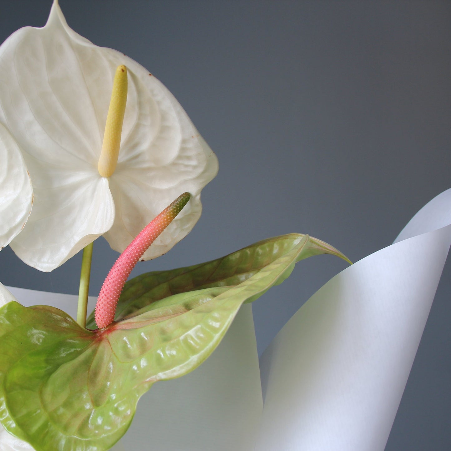 flower delivery portofino Bouquet of Flowers