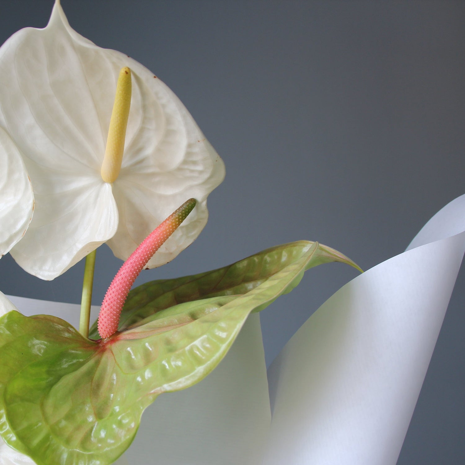 flower delivery portofino Bouquet of Flowers