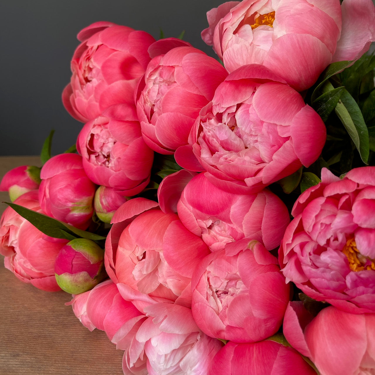 peonies coral italy