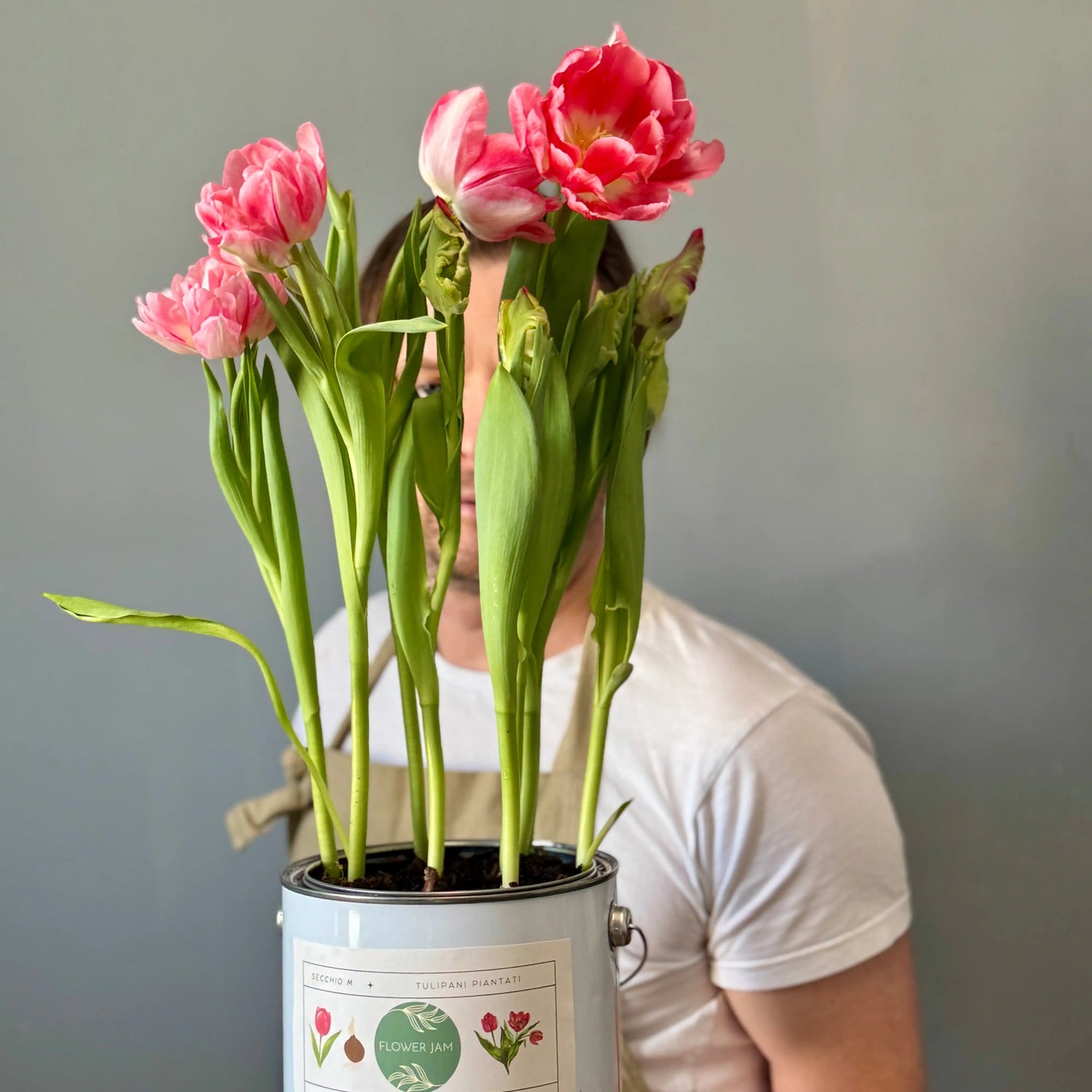 One Size Bucket of Tulips Bulbs
