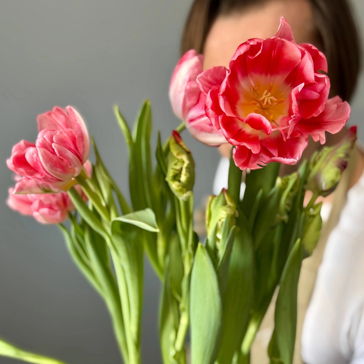 One Size Bucket of Tulips Bulbs
