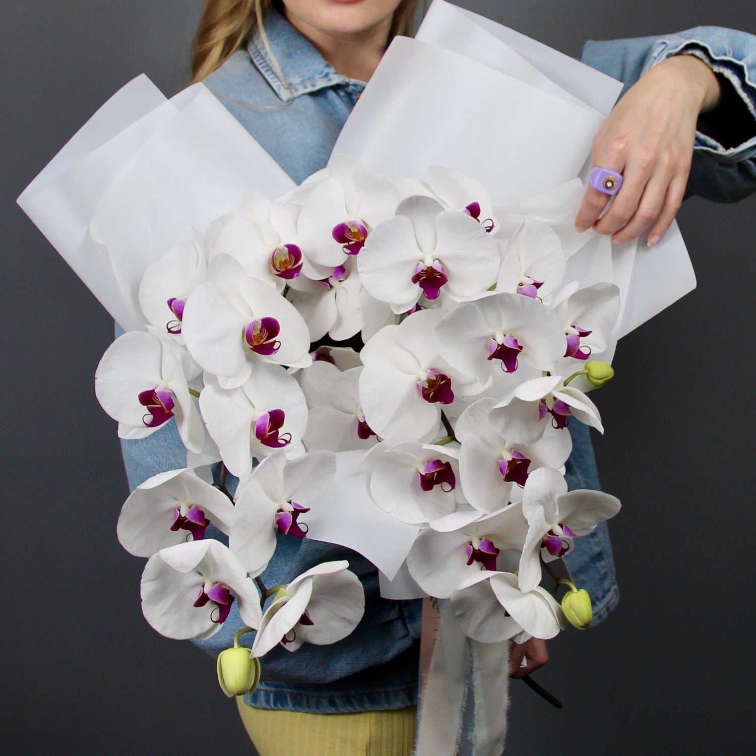 send white Phalaenopsis flowers genova
