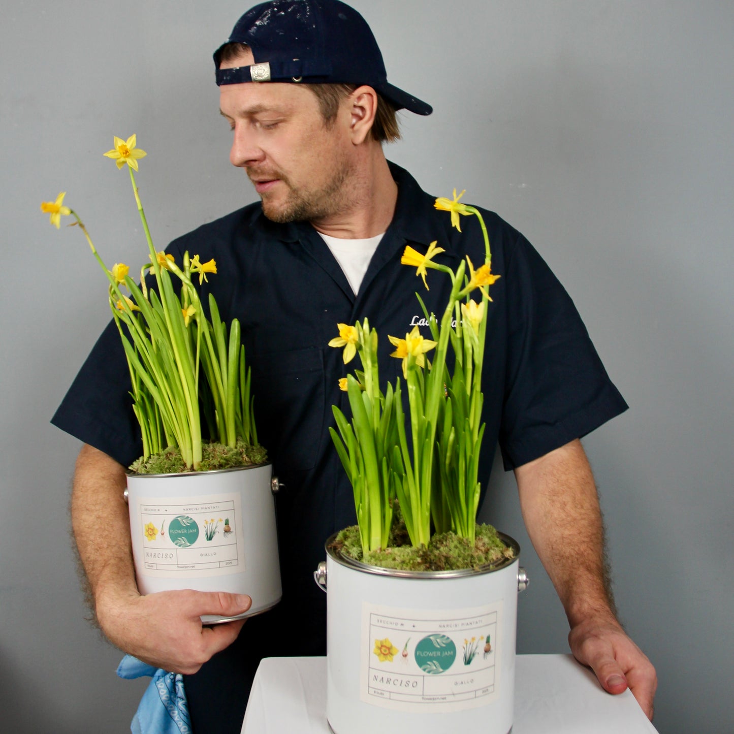 Medium Bucket of Narcissus Bulbs – Baby Yellow