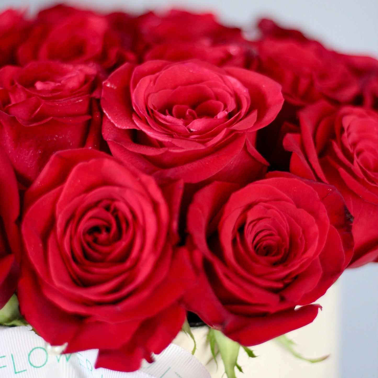 red roses delivery genova FLOWERS IN A BOX