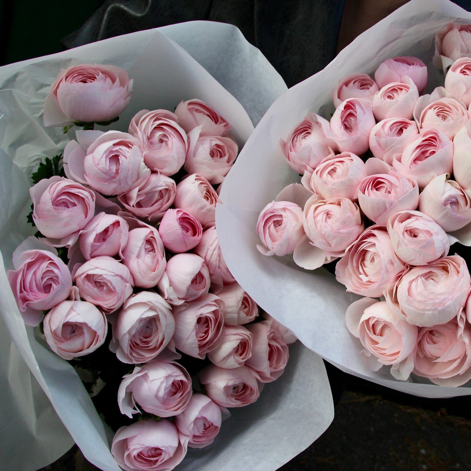 Pink ranunculus bouquet
