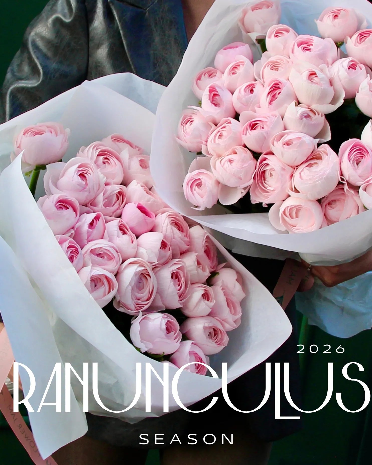 Ranunculus pink flower bouquet