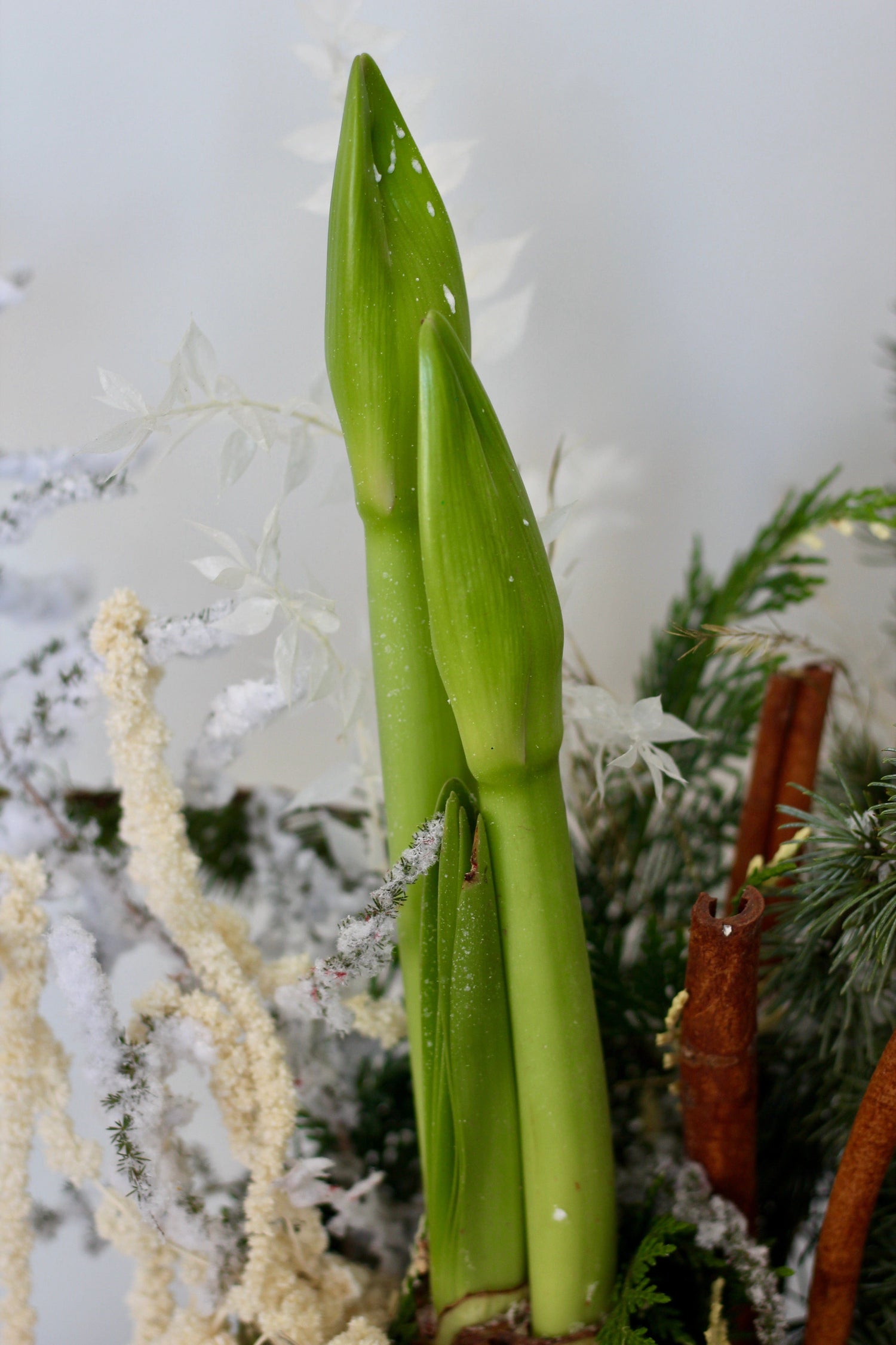 Christmas arrangement
 product_type