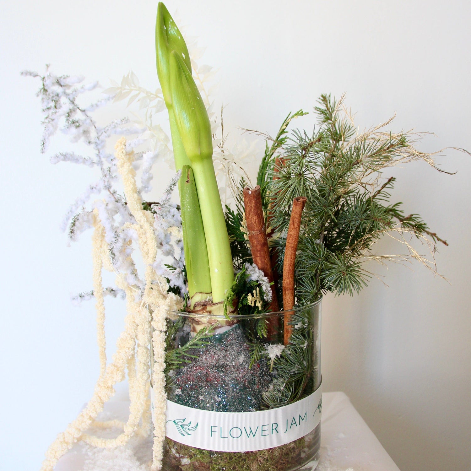 Christmas amaryllis wax bulb arrangement
 product_type